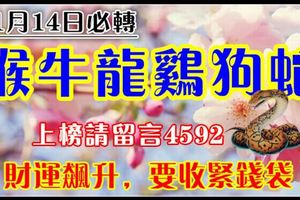 11月14日猴、牛、龍、雞、狗、蛇【財運飆升，你的財富來了，要收緊錢袋】