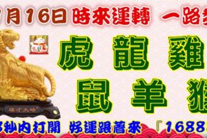 11月16日時來運轉一路發，虎龍雞鼠羊猴，88秒內打開，好運跟著來『16888』