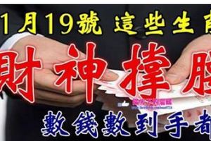 11月19號開始財神撐腰，數錢數到手都軟的生肖