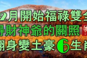 12月開始福祿雙全，得財神爺關照，翻身變土豪的6大生肖！