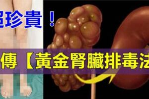 祖傳【黃金腎臟排毒法】只要照著做，腎臟立即排毒消水腫哦！