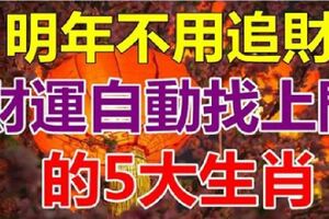 明年不用追財，財運會自動找上門的「五大生肖」，有你嗎？