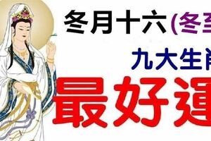 冬至節開始，這九個生肖最最最好運【希望有你】