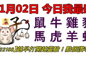 01月02日，今日我最旺！鼠牛雞豬馬虎羊蛇！【22188】越早打開越靈驗！點個讚吧！