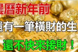 算命先生說：2019年喜事進家門，鹹魚翻身，添丁發財