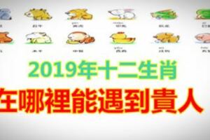 2019年十二生肖在哪裡能遇到貴人？讓自己逢凶化吉！