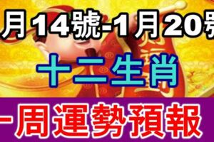 【1月14號-1月20號】十二生肖一周運勢預報！