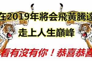 這幾個生肖，在2019年將會飛黃騰達，走上人生巔峰