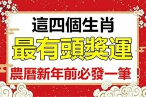 四大生肖，最有頭獎運，農曆新年前必發一筆過肥年