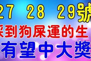 1月27，28，29號，這七大生肖踩了「狗屎運」發橫財中大獎，有望一夜暴富