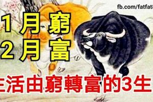 1月窮，2月富，喜事進門運勢旺，生活由窮轉富的3生肖