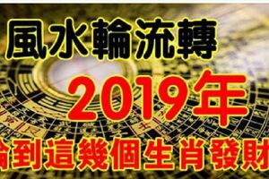 風水輪流轉，今年輪到你，2019年也該這個生肖發財了