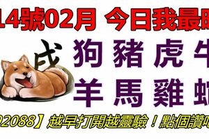 14號02月，今日我最旺！狗豬虎牛羊馬雞蛇！【92088】越早打開越靈驗！點個讚吧！