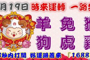 2月19日時來運轉一路發，羊兔猴狗虎雞，88秒內打開，好運跟著來『16888』