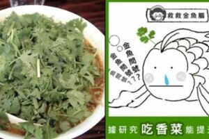 【含淚都要吞下去！】香菜排空「體內拍咪阿」效果一級棒　專家：超多營養還治「金魚腦」