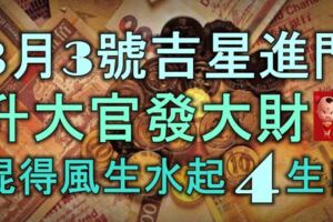 3月3號起吉星進門，升大官發大財，混得風生水起的4大生肖！