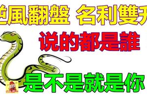 逆風翻盤，名利雙升的生肖~是不是就是你？