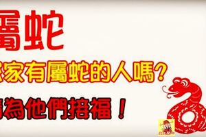 家有「屬蛇」的人嗎？有你就多「留意」了！　請為他們「接福」，「豬年旺旺來」！