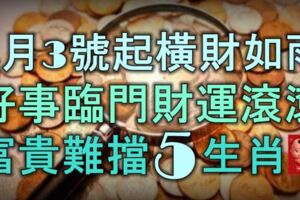 4月3號起橫財如雨，好事臨門，財運滾滾，不缺錢花，富貴難擋的5大生肖！