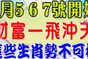 5月5，6，7號開始，這些生肖勢不可檔，財富一飛沖天