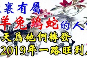 家有屬（羊兔雞蛇）的人，2019年一路旺到底