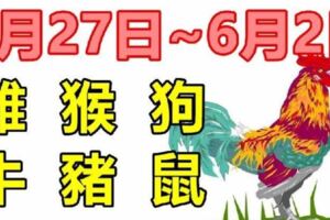 十二生肖一周運勢（5.27~6.2）