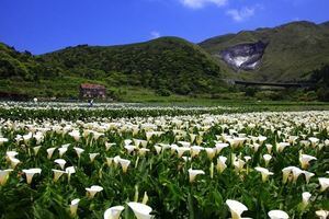 親身靈異經歷「等待了十多年，祢總算找到回家的路了。」