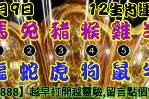 2019年7月9日，星期二，農歷六月初七（己亥年辛未月丁未日）