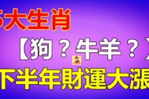 下半年財運大漲的5大生肖！【狗？牛羊？】