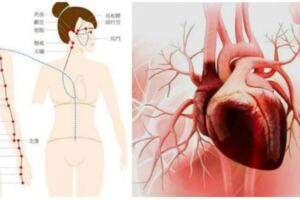 容易胸悶氣短，小心體內濕濁瘀積　這樣做戰勝心血管疾病