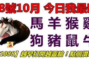 08號10月，今日我最旺！馬羊猴雞狗豬鼠牛！【81088】越早打開越靈驗！點個讚吧！