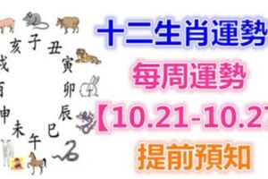 十二生肖運勢：每周運勢【10.21-10.27】提前預知！