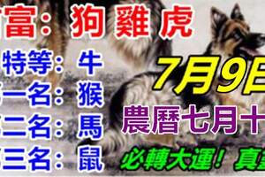 你是生肖「狗雞虎牛猴馬鼠」嗎？7月9日開始格外注意了！