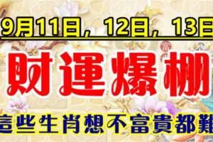 9月11日，12日，13日財運爆棚，想不富貴都難的生肖