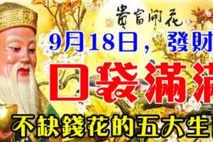 9月18日，發財日口袋滿滿，不缺錢花的生肖