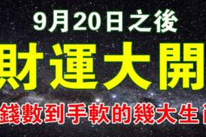 9月20日之後財運大開，數錢數到手軟的生肖