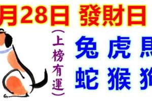 9月28日生肖運勢_兔、虎、馬大吉