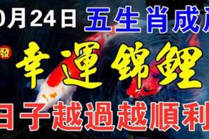 10月24日成為幸運錦鯉的生肖，日子越過越順利