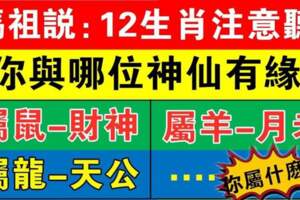 媽祖娘娘告訴你：十二生肖注意聽，你與哪位神仙最有緣？