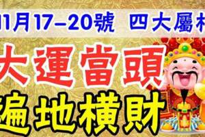 11月17-20號大運當頭，遍地橫財的生肖