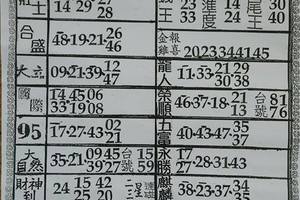 3/2  六合彩參考資料-六合彩參考.jpg