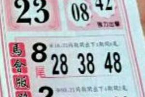 4/8  馬會版路-六合彩參考.jpg