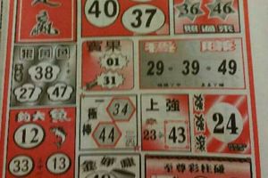 3/4  飛龍月刊-六合彩參考.jpg