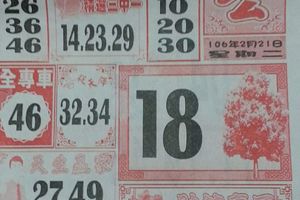 2/21  大樹公-六合彩參考.jpg
