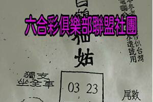 4/1  白鶴仙姑-六合彩參考.jpg