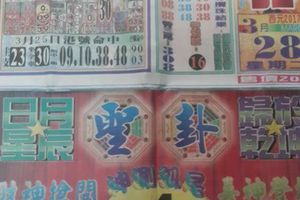 3/28  正旺-六合彩參考.jpg