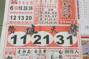 12/28-12/29  福氣539-今彩539參考