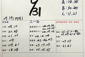 4/13-4/15  承恩石頭公-六合彩參考.jpg