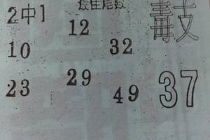 2/14  營-六合彩參考.jpg