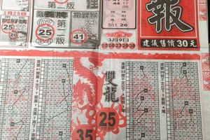 3/11  龍報-六合彩參考.jpg
